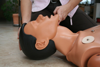 Basic Live Support